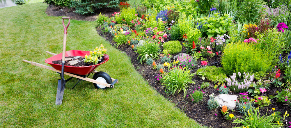 Garden Maintenance & Planting