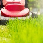 Lawn Cutting Services