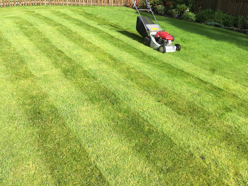 Lawn care & carbon grass